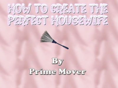 hoe naar maken De Perfect huisvrouw