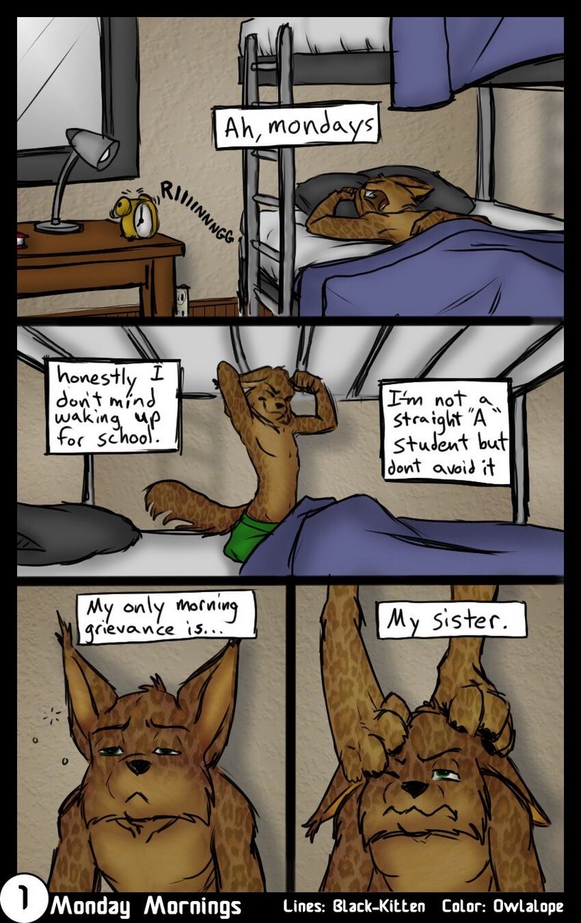 Cartoon N Furrys Porn Brother And Sister - Monday Mornings at Furry Porn Pics .Net