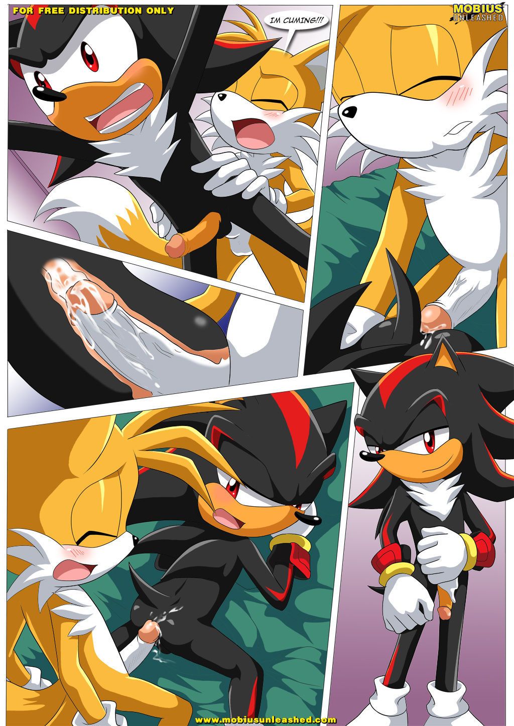 Palcomix Shadow & Tails (Sonic the Hedgehog)