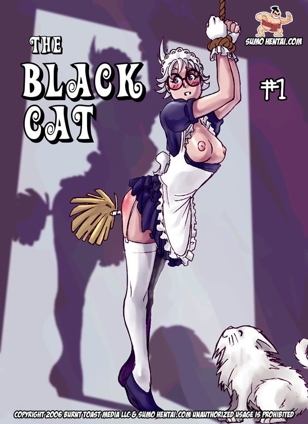 Sumo Hentai (sidneymt) คน สีดำ แมว #1