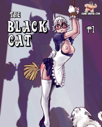 Sumo Hentai (sidneymt) คน สีดำ แมว #1 ส่วนหนึ่ง 3