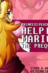 Prinzessin Peach helfen mir mario!