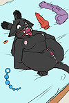 Siyah Yavru kedi şantaj