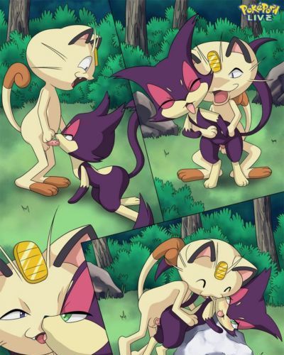 The Cats Meowth - part 2