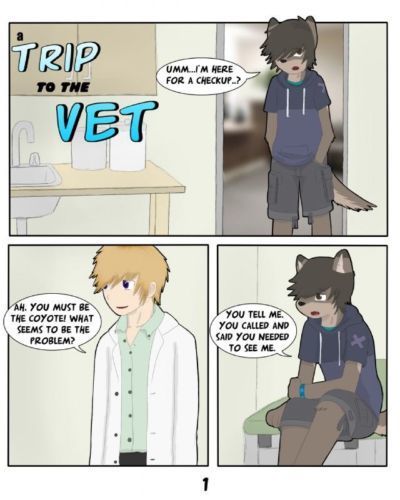 ein Reise zu die Tierarzt