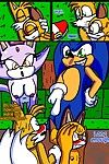Otakon A Final Farewell 2 (Sonic The Hedgehog)