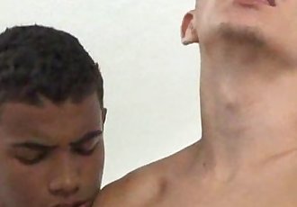 तीनों समलैंगिक brasileiro